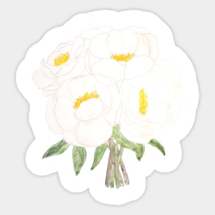 white peony bouquet flowers  ink and watercolor Sticker